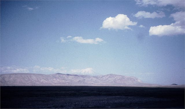 Ararat z busu